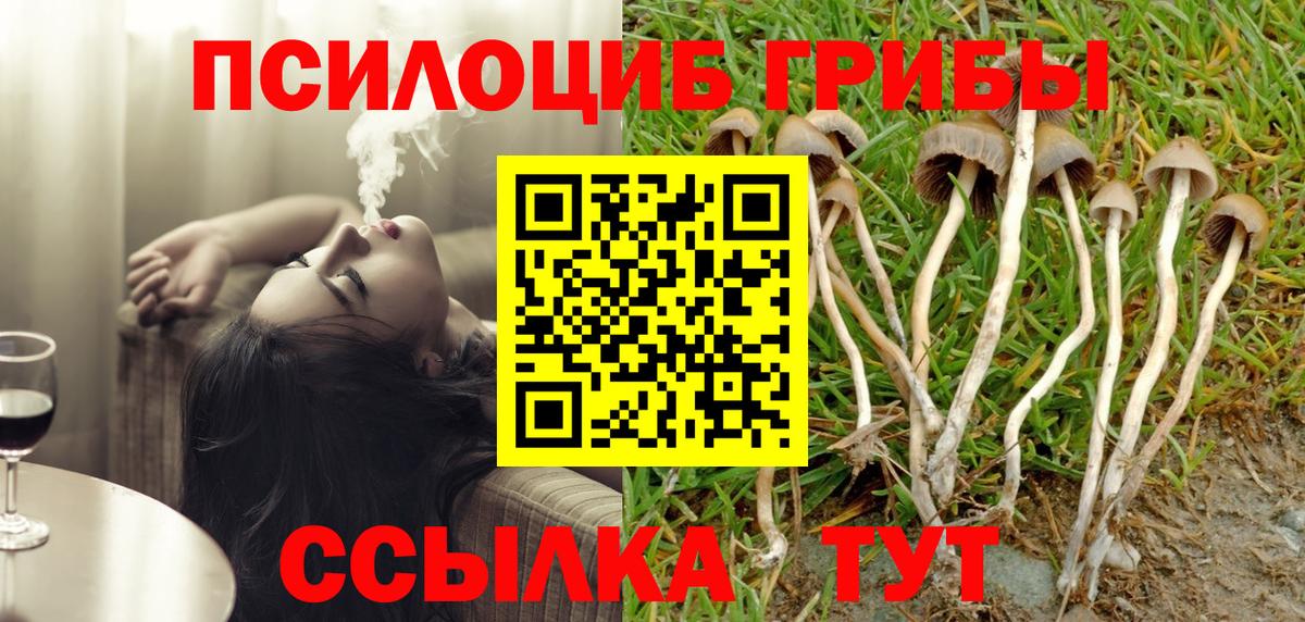 Псилоцибиновые грибы прущие грибы Сургут